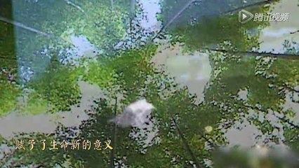 35_史上最雷人诗歌朗诵《吃土颂》