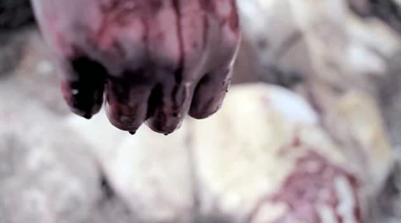 바카라넷◈WKW22。COM＊바카라그림○필리핀카지노