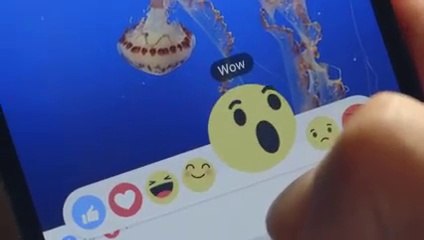 Awesome New Feature Added By Facebook