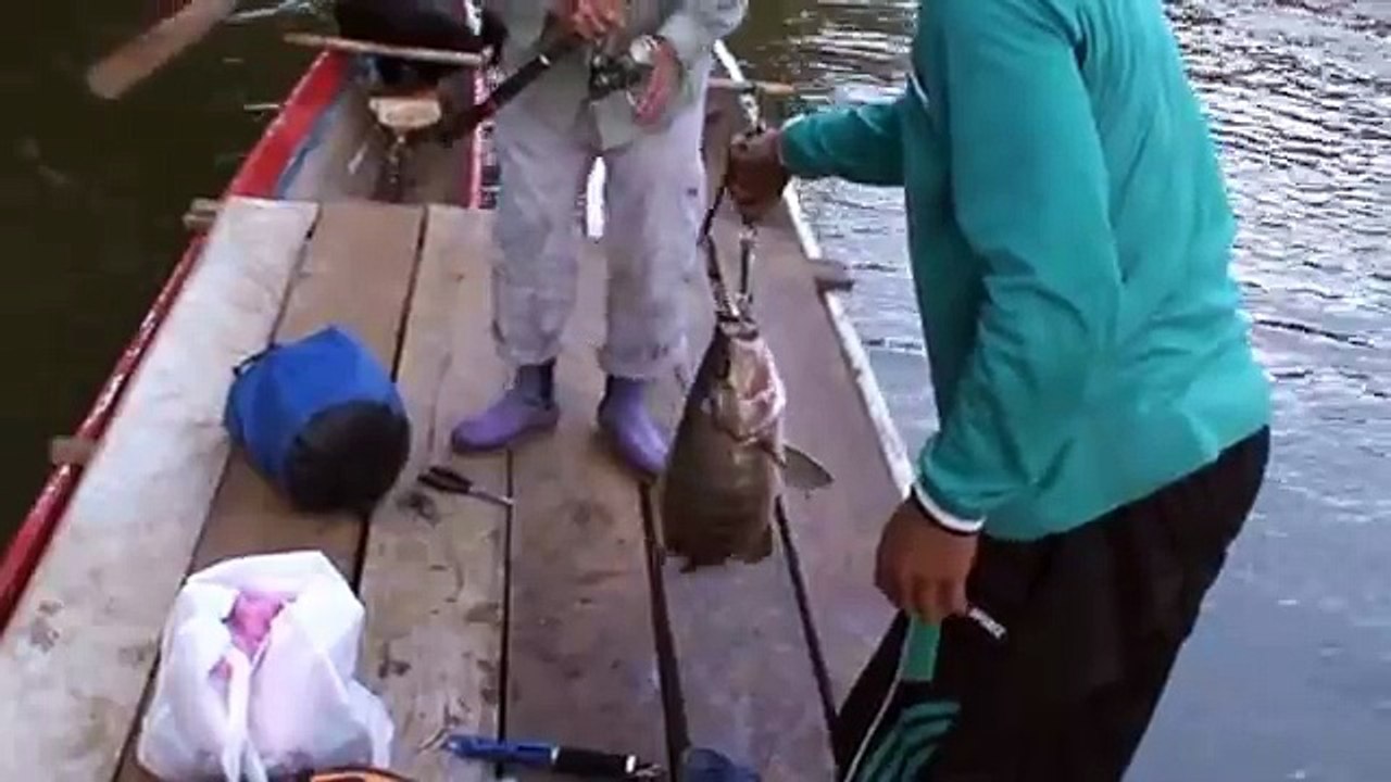 Fishing Sulawesi Black Bass