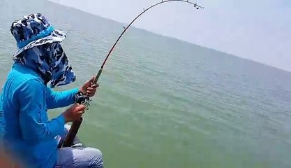 Mancing Ikan Kurau Senangin
