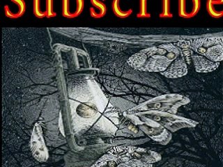 Invisibile Notturno Amnesia 2016