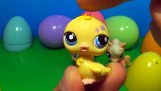 6 Littlest Pet Shop surprise eggs! LPS surprise eggs! Each egg holds a different lovable p