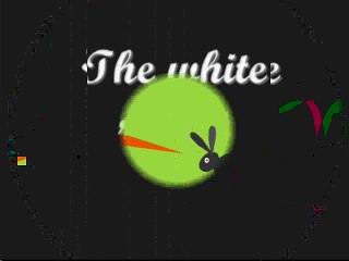 Filmounets 2007 (Hors Concours) - The white Rabbit