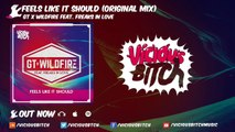 GT & Wildfire feat. Freaks In Love - Feels Like It Should (Original Mix)