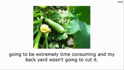 Backyard Liberty System