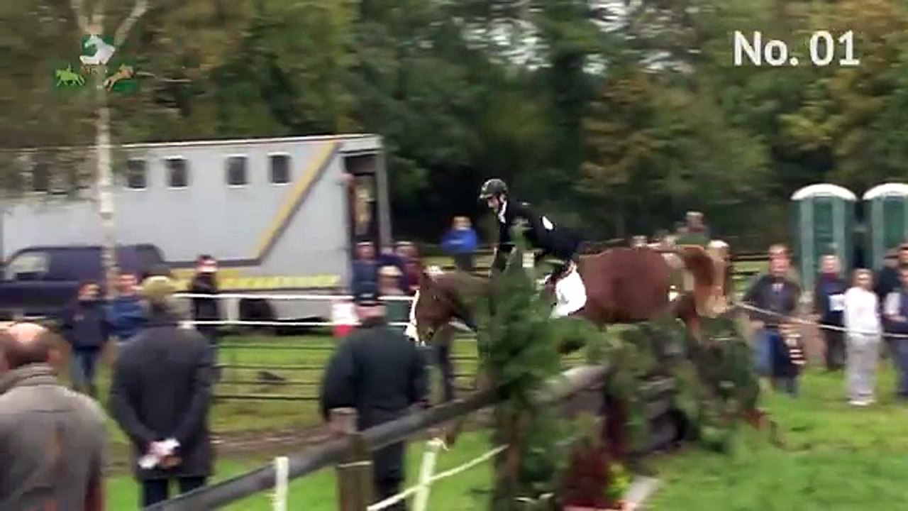 TIHA Hunter Show and Go - 1