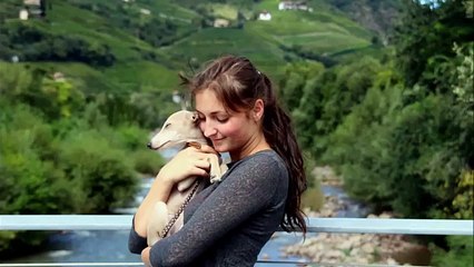 Hund an Maulkorb gewöhnen mit Clickertraining ♥ Hundekanal
