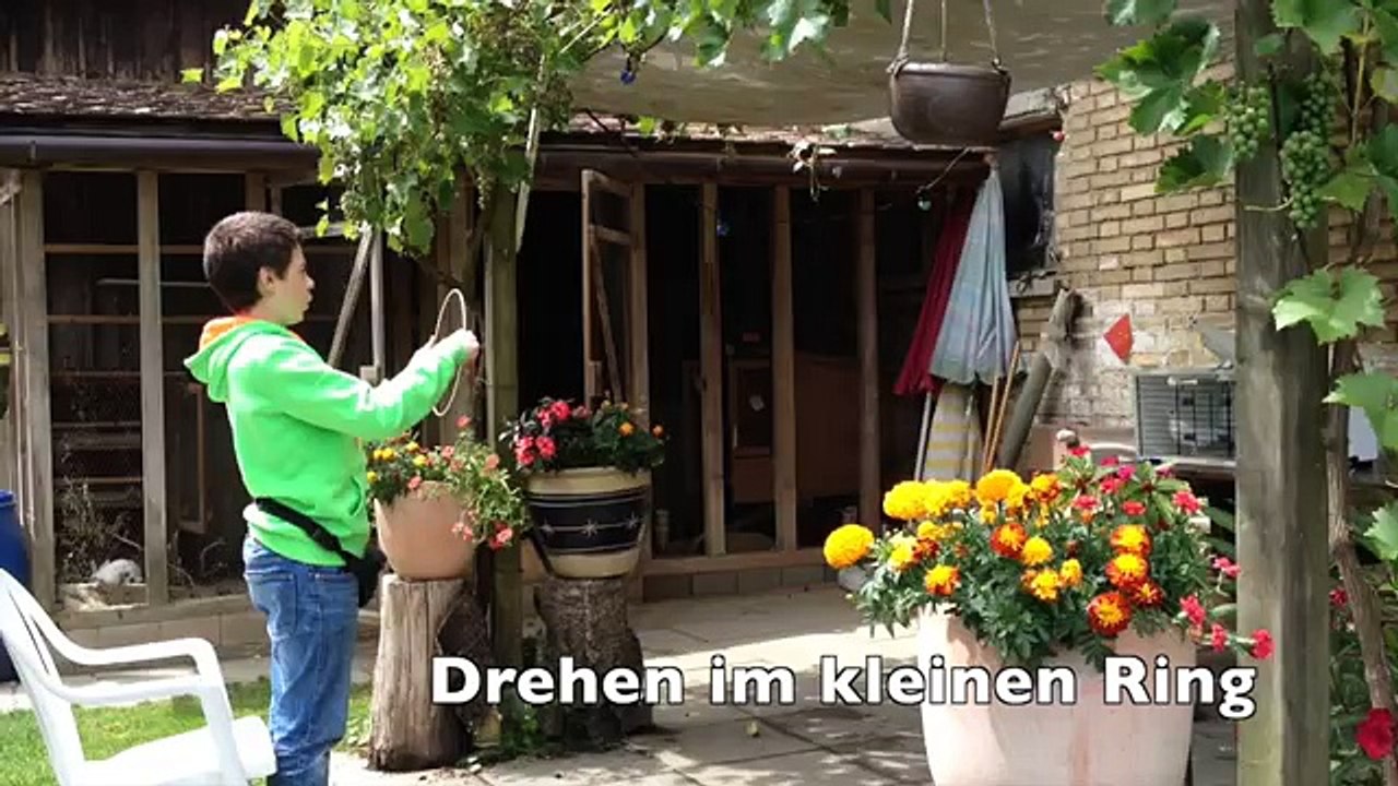 Clickertraining mit Tauben 2015 Teil 3