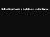 Multicultural Issues in the Criminal Justice System  Free Books