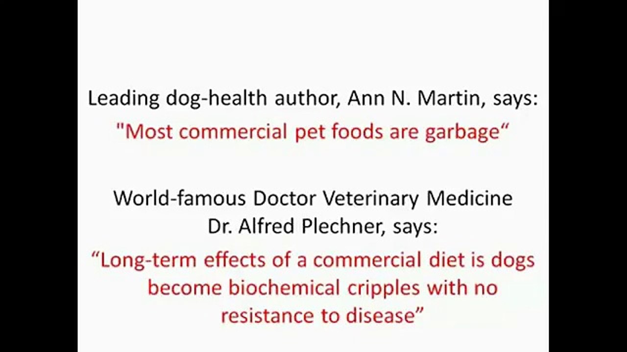 Dog Food Secrets Reviews-Know What's Good And Bad