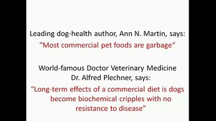 Dog Food Secrets Reviews-Know What&#39;s Good And Bad