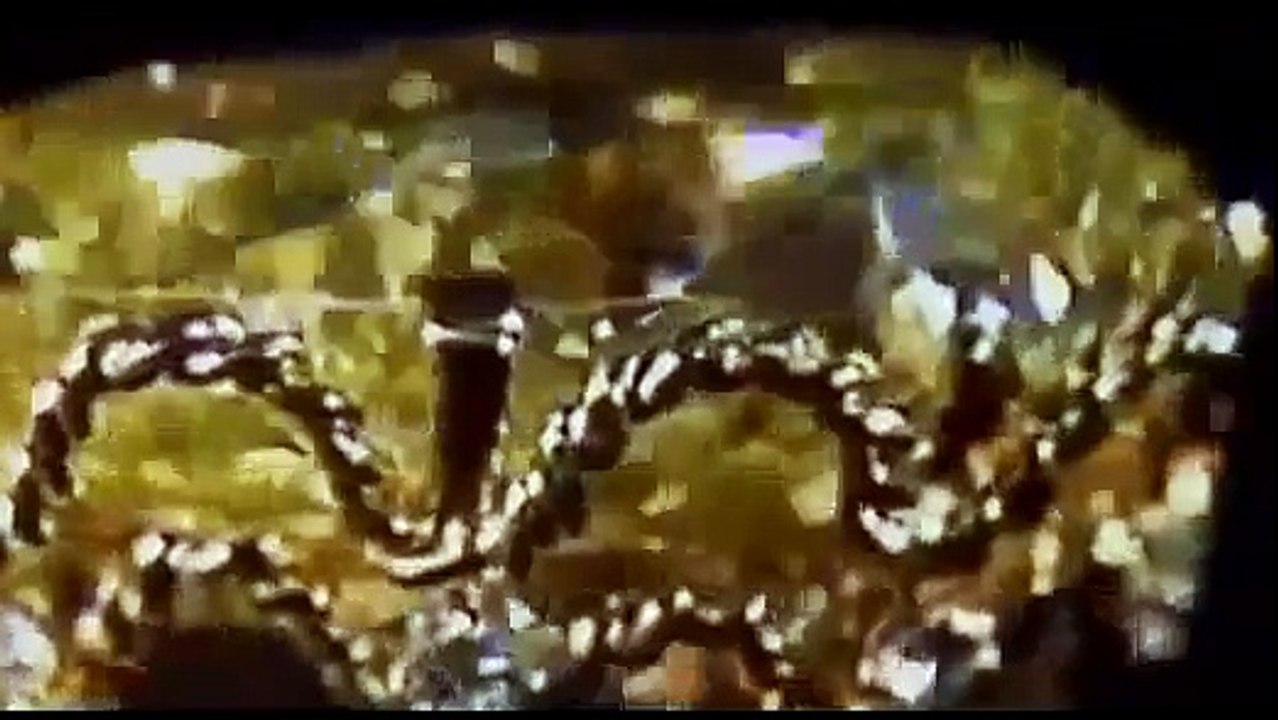 How to Made Diamonds Documentary # KOHINOOR DIAMOND HISTORY