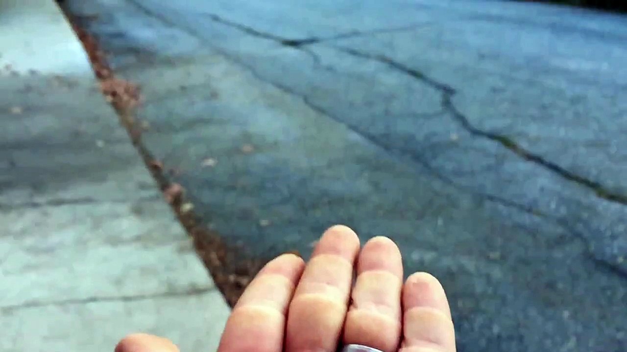 The Coolest Thing Youll See All Day