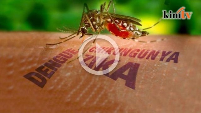Apa yang anda perlu tahu tentang virus Zika