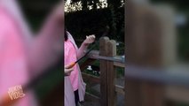 Lady Cant Figure Out How to Lock Gate | Locked Out