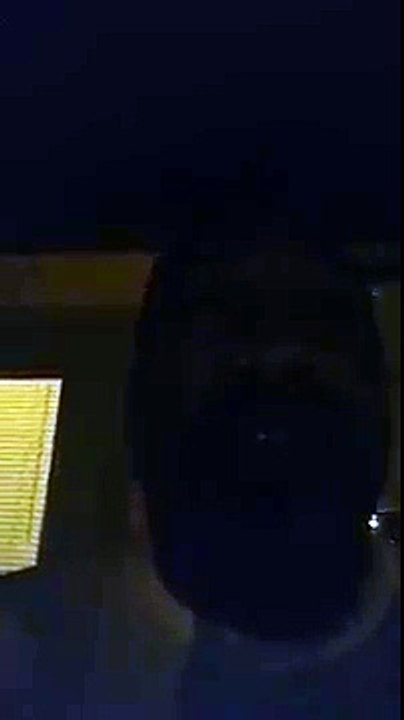 Movies Capital Review - Download Free Movies Legally - UNLIMITED