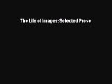 The Life of Images: Selected Prose  Free Books