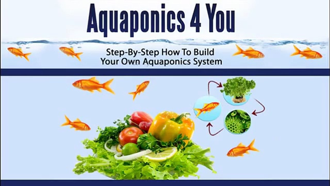 Aquaponics 4 You - Step-By-Step How To Build Your Own Aquaponics System