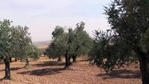 Russian AF bombing ISIS position near Khan Sheikhoun, Syria