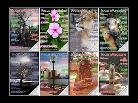 Online Photography Courses To Take Stunning Photos - Digital Photography Success With Amy Renfrey