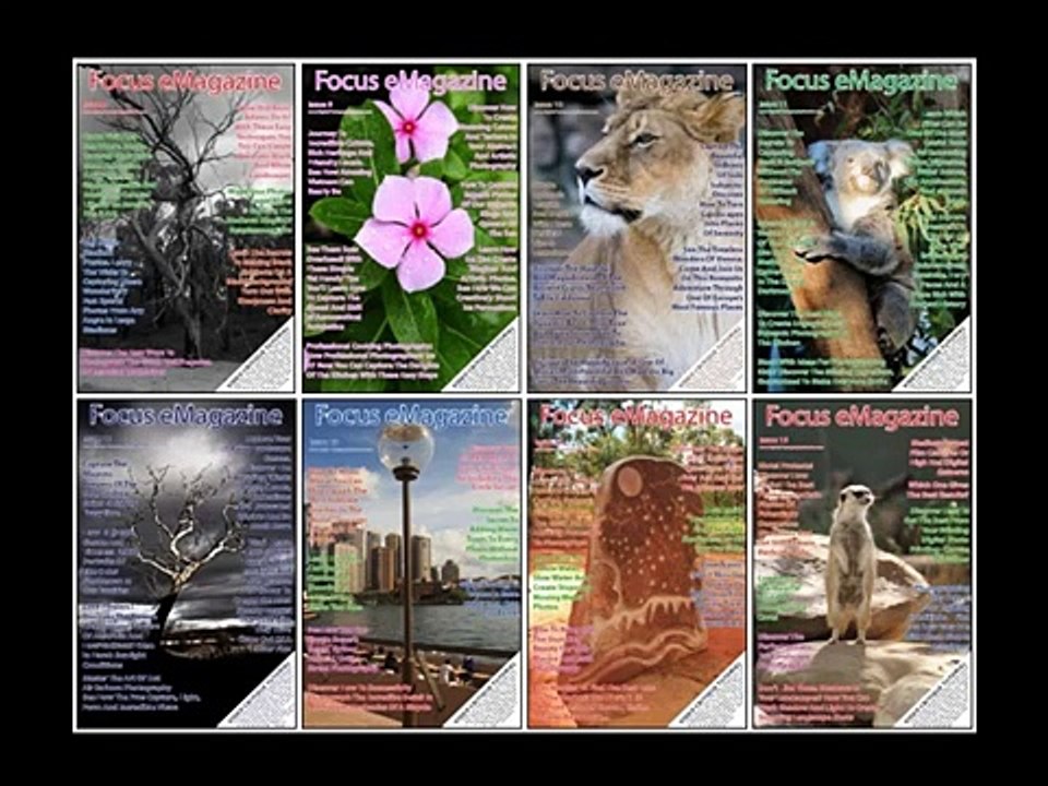 Online Photography Courses To Take Stunning Photos - Digital Photography Success With Amy Renfrey