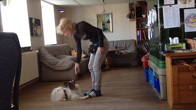 Clickertraining mit Hund Elu April 2015 Teil 1