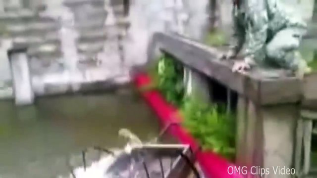 funny motivational quotes, video lucu aksi gagal permainan skateboard