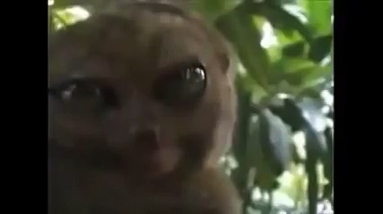 Когда девушка приседает
