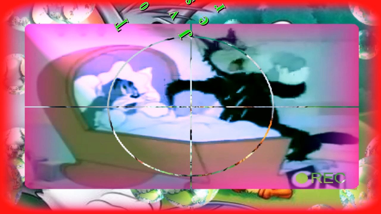 Tom vs jerry cartoon HD