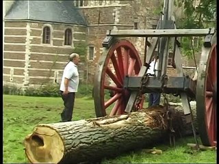 Petra - the strongest Belgian Draft Horse -