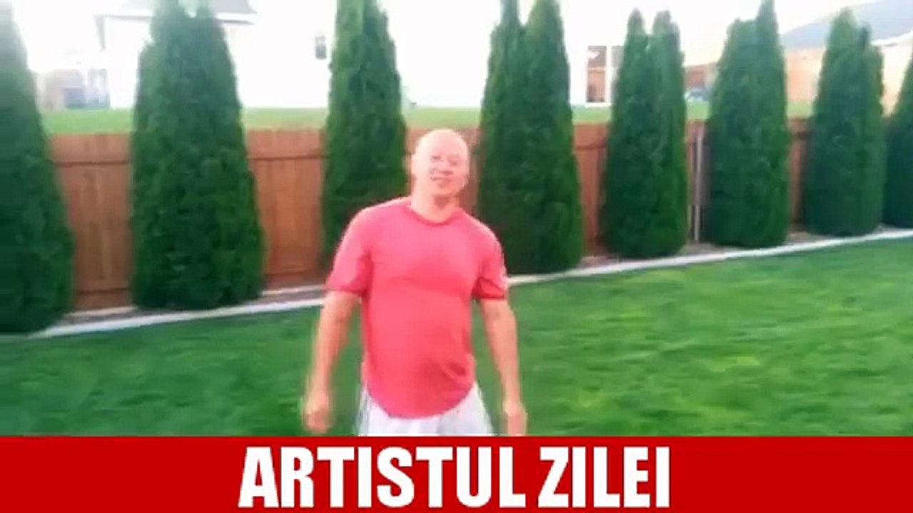 ARTISTUL ZILEI