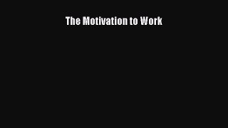 PDF Download The Motivation to Work Download Online