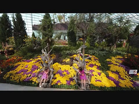 Video Ranking MAGIC SUBMITTER YouTube Traffic Video Site Submitter