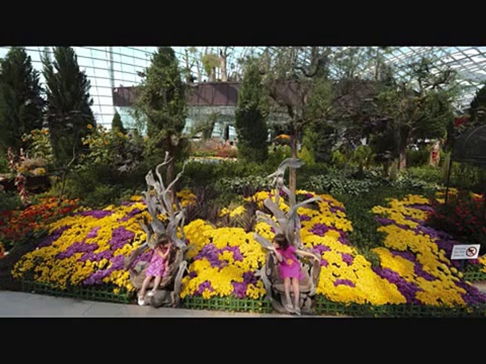 Video Ranking MAGIC SUBMITTER YouTube Traffic Video Site Submitter