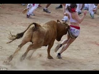 funny videos collection 2016 funny clip