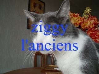 LA VIE DE MOI  par VAL