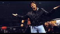 Bret Hart on the stupidity of Eric Bischoff in WCW