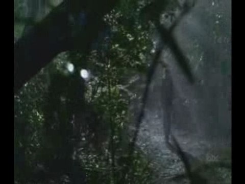 Nobody's Home (Lost - Claire Littleton, Charlie/Claire)