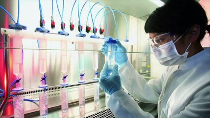 LA INVESTIGACION QUE PODRIA DEMOSTRAR QUE HUBO VIDA EN LA TIERRA ANTES DE LO QUE SE CREIA