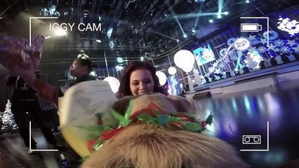 Dog Cam: Behind the scenes of Blue Peter with Iggy!