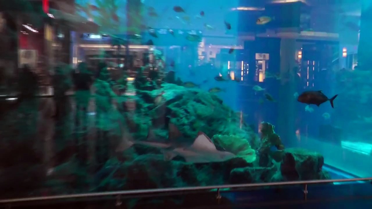 ДУБАЙ - DUBAI MALL - САМЫЙ БОЛЬШОЙ АКВАРИУМ