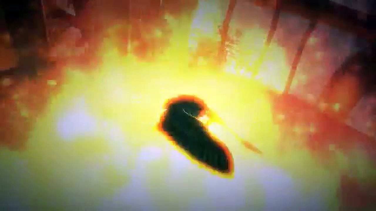 Legend of the Guardians The Owls of Ga’Hoole – Nintendo Wii