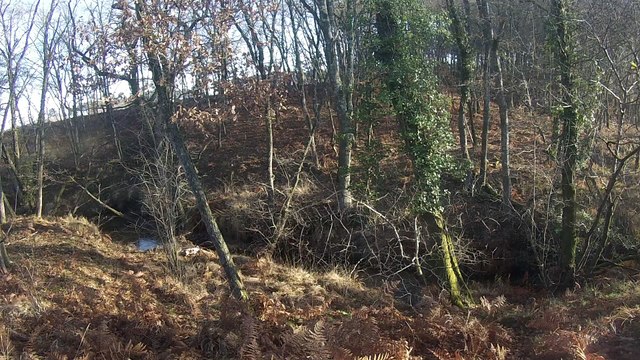 epagneuls bretons Du Pont D'As