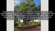 Big Tree at Victoria Falls Top  #7 Facts (1024p FULL HD)