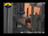 Automatic 8 Heads(Piston) Liquid Filling Machine from Vefill