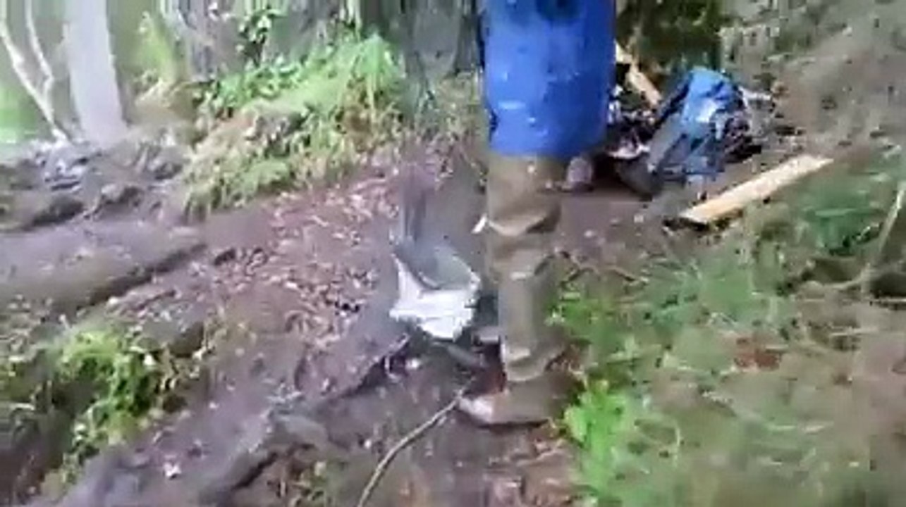 fshing fun