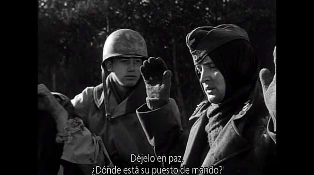 카지노로얄드림㈜WKW22。COM▩바카라주소‡알라딘게임