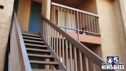 Arizona Police find Girl, 3, Bound and Offered for Sex