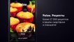 Кулинарное приложение Patee. Рецепты для iPhone, iPad и Android - видео рецепты [Patee. Рецепты]